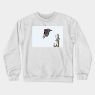 Rough-legged Hawk Crewneck Sweatshirt